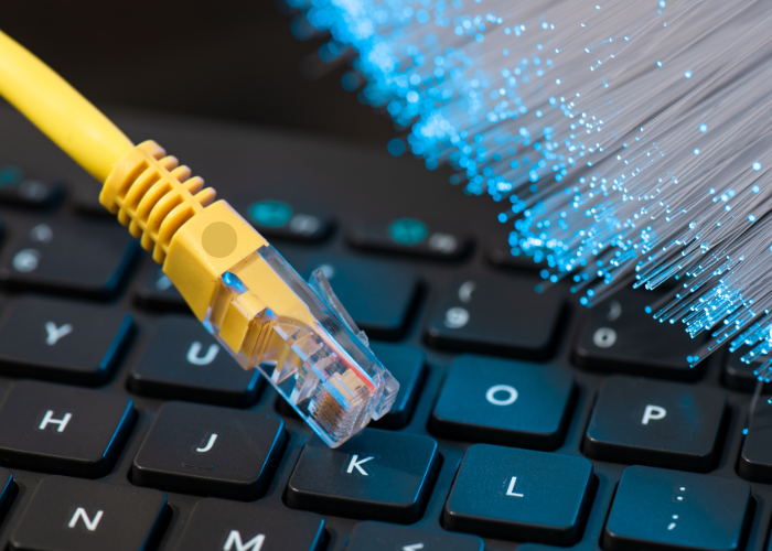Fibre